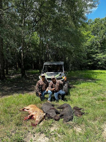 Technology Has Transformed the Wild Hog Hunting Industry in Texas