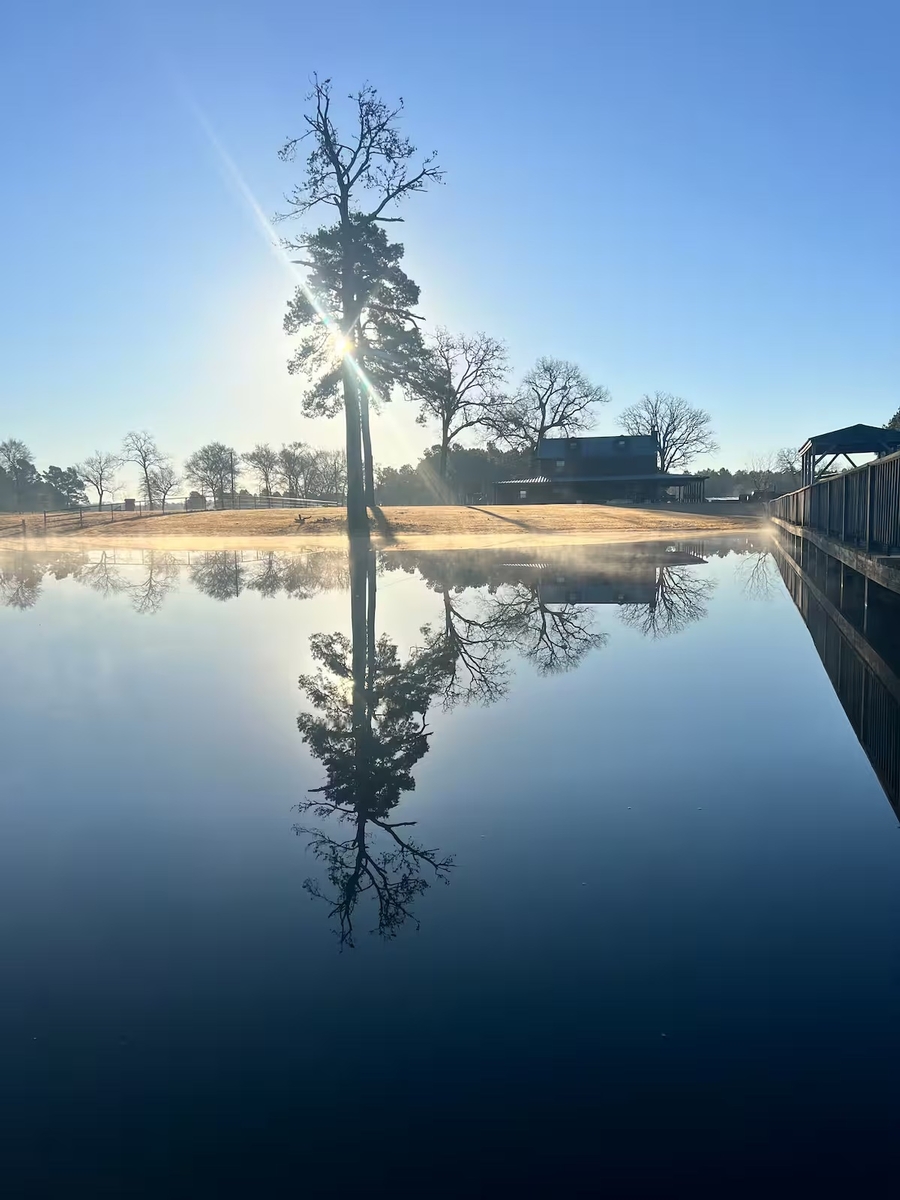 Entire cabin in Crockett, Texas